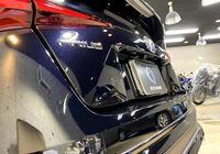 IMG_8522